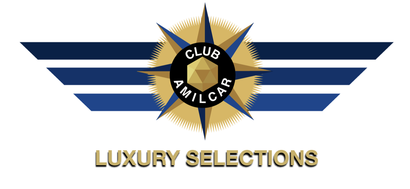 Adhésion annuelle "GOLD" avec une offre PREMIUM - AMILCAR Luxury Growth Program – Image 5
